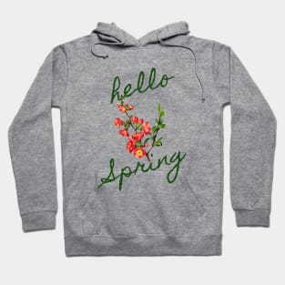 Hello Spring Hoodie